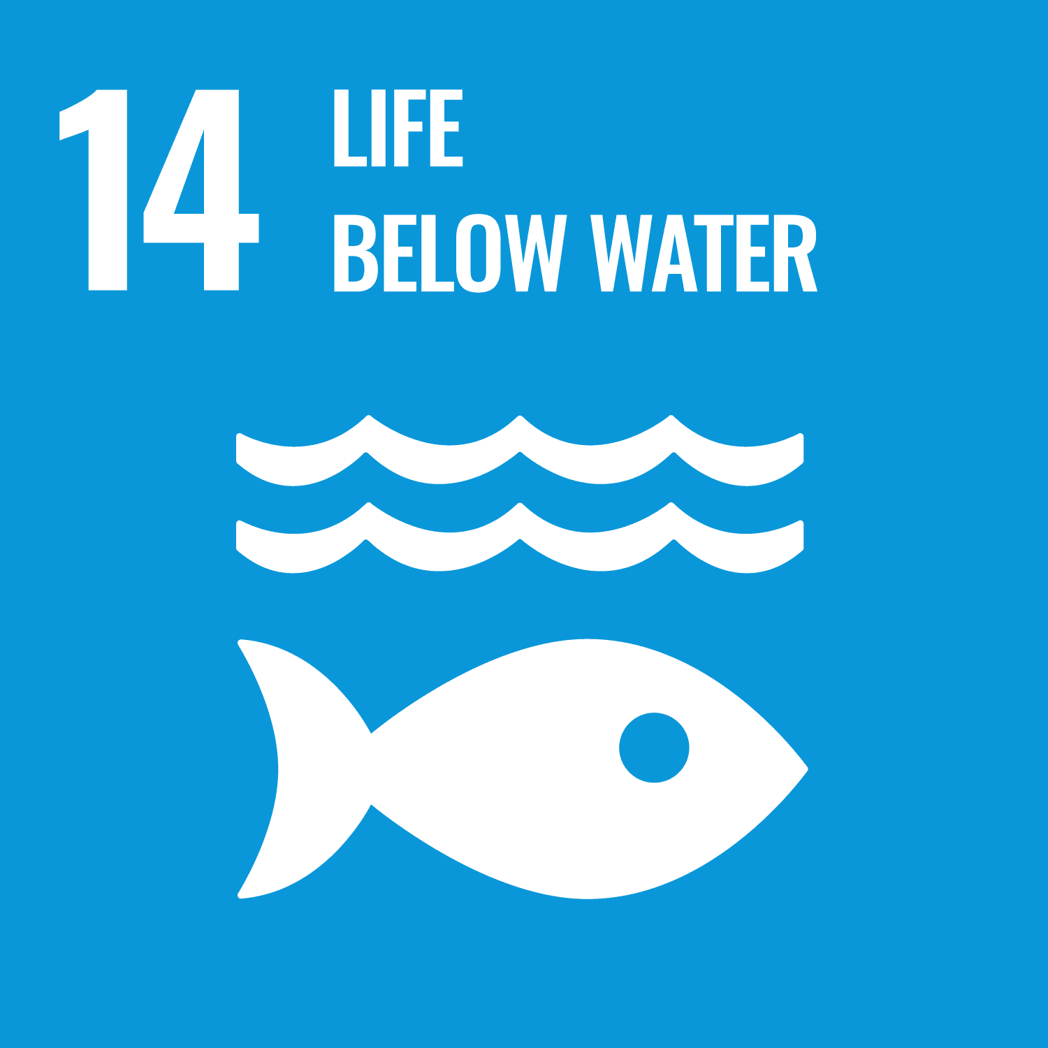 Graphic image of a fish and some waves saying '14 Life below water' reflecting Sustainable Development Goal (SDG) or Global Goal 14