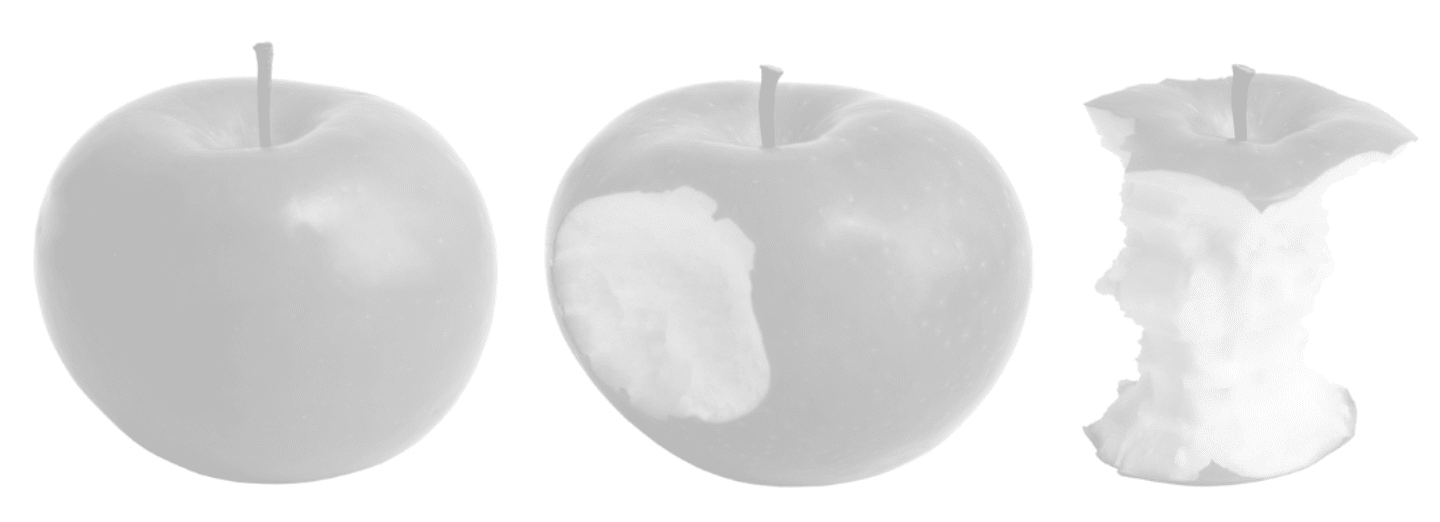 Apples at varying stages of consumption