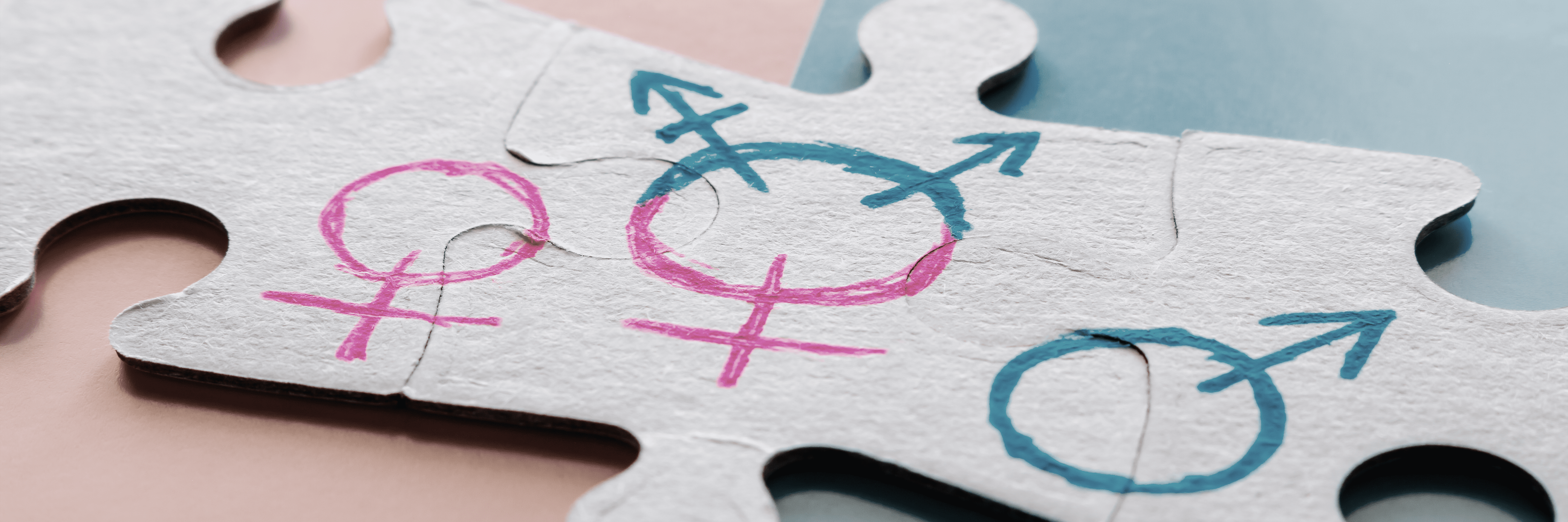 Grey cardboard jigsaw pieces with hand drawn gender icons in magenta and cyan
