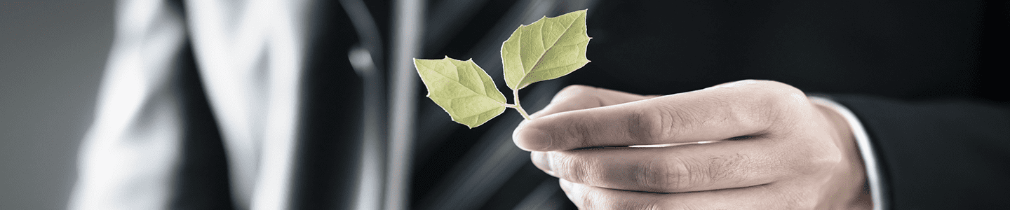 A hand holding a small twig with two green leaves
