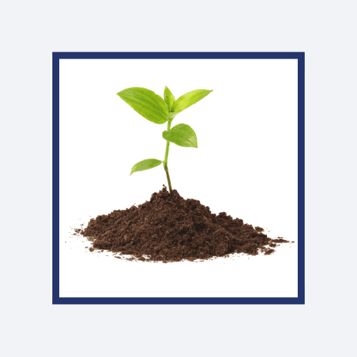 A sapling growing out of small heap of soil depicting action on the climate