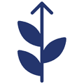 A stem growing with leaves and an arrow pointing forward. Blue on a white background depicting the third stage of  the journey to meaningful employment. 