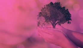 An image of a person holding a tree in their hands