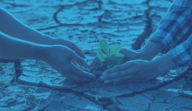 An image of two people protecting a plant growing from the ground