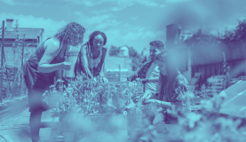 A group of diverse people working on a raised garden.