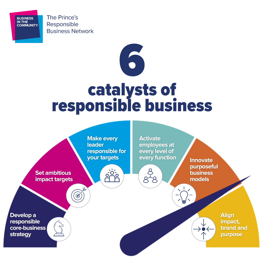 A gauge representing the six catalysts of a reponsible business strategy.